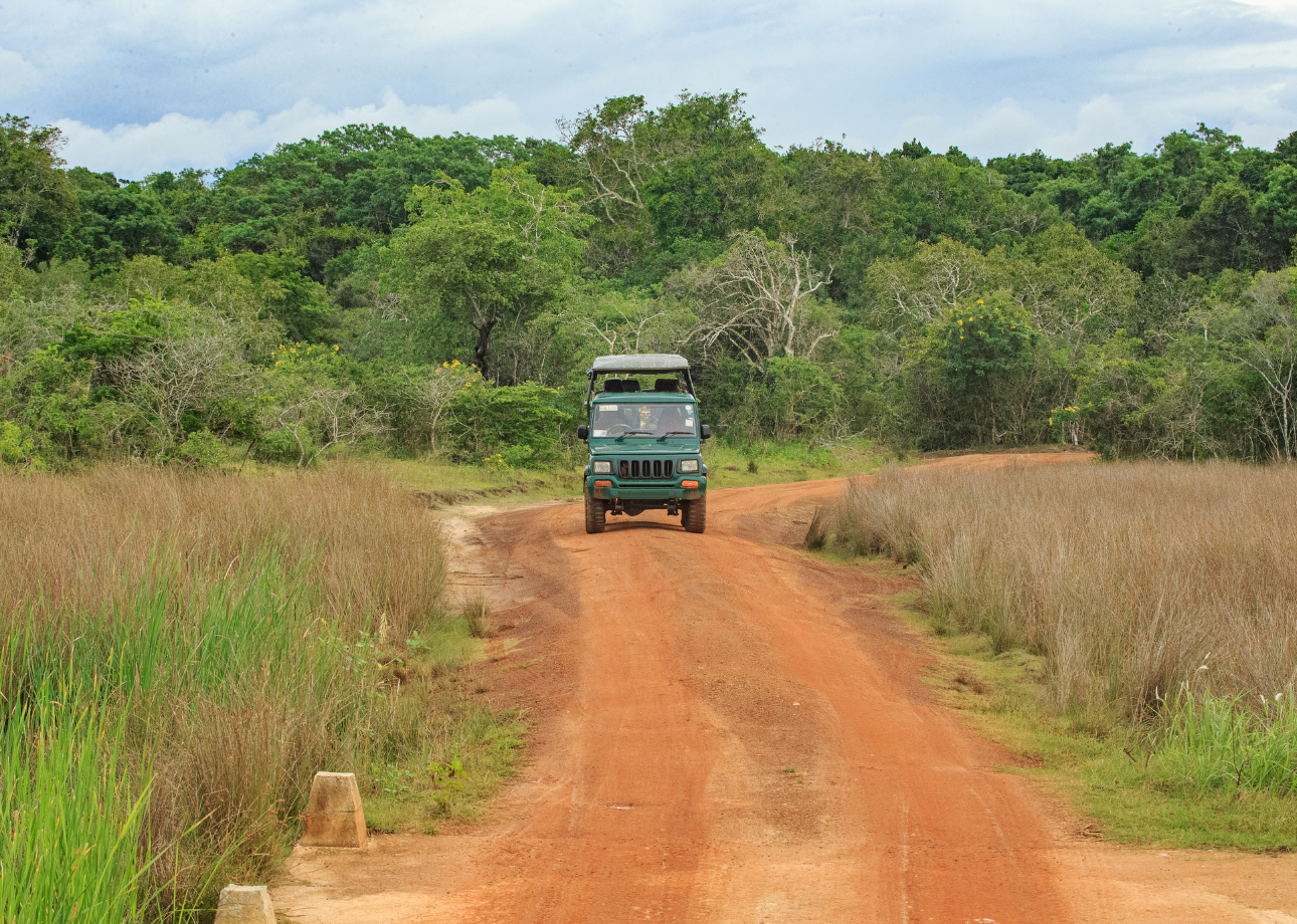 How to Plan Your Memorable Sri Lanka Road Trip: The Complete Guide